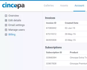 New Billing Page Snapshot_Cincopa